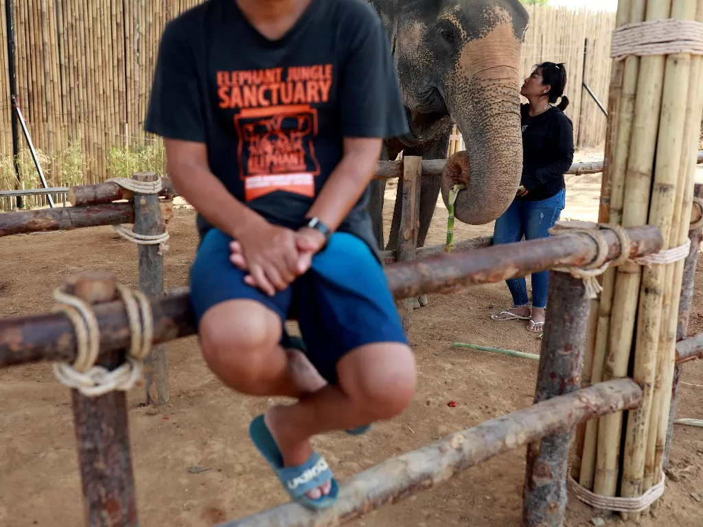 Ilustrasi gajah di Thailand. (REUTERS/Soe Zeya Tun)