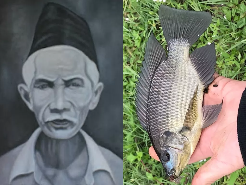 Mbah Moedjair dan Ikan Mujair. (wikipedia.org/Instagram/@trash_fishh)