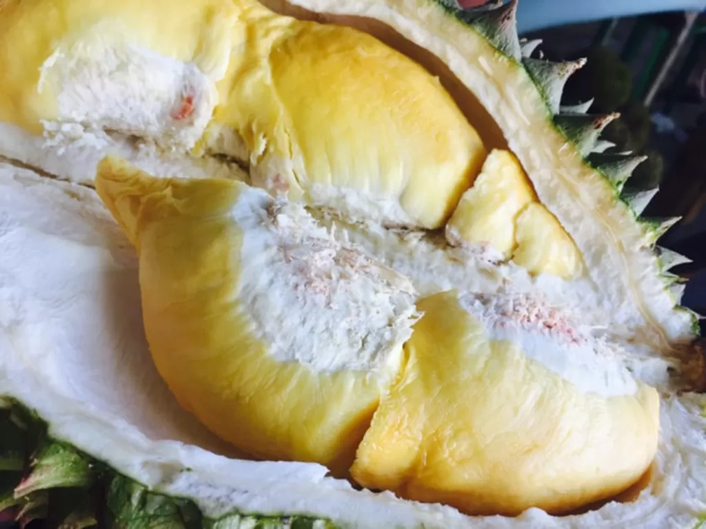 Buah durian. (Unsplash/@gliezl)