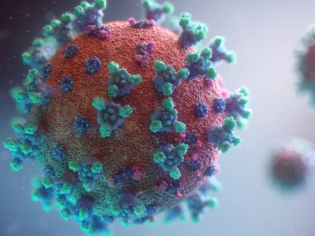 Ilustrasi virus corona. (Unsplash/@fusion_medical_animation)