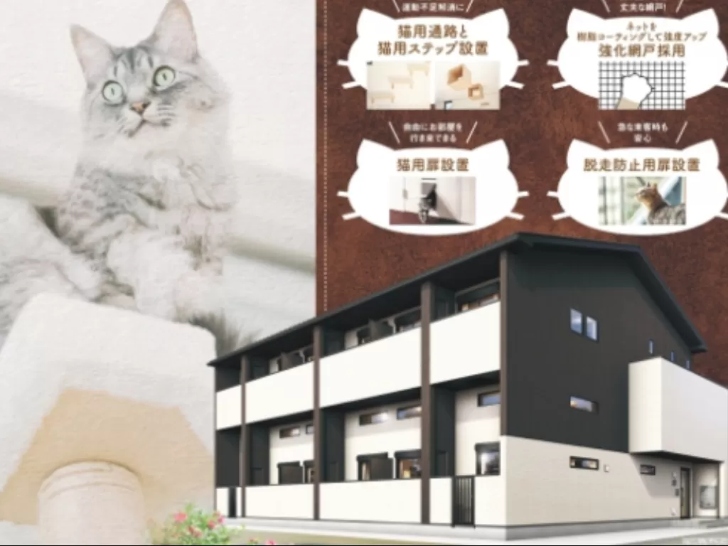 Apartemen unik untuk pencinta kucing (SORAEWS24)