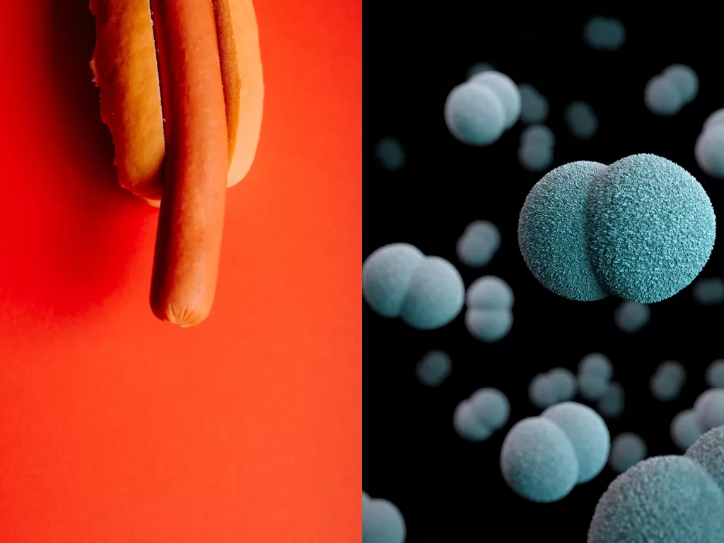 Ilustrasi penis dan bakteri (Unsplash/Annie Spratt/CDC)