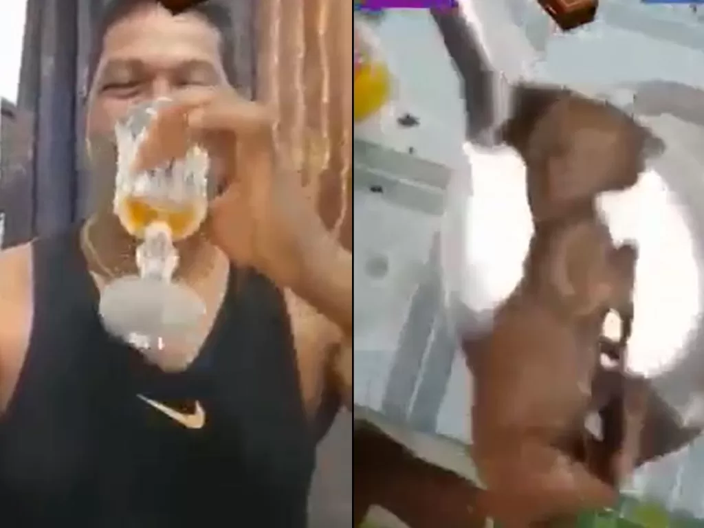 Seorang pria Malaysia minum arak yang dicampur bayi harimau. (Tangkapan layar/Facebook)