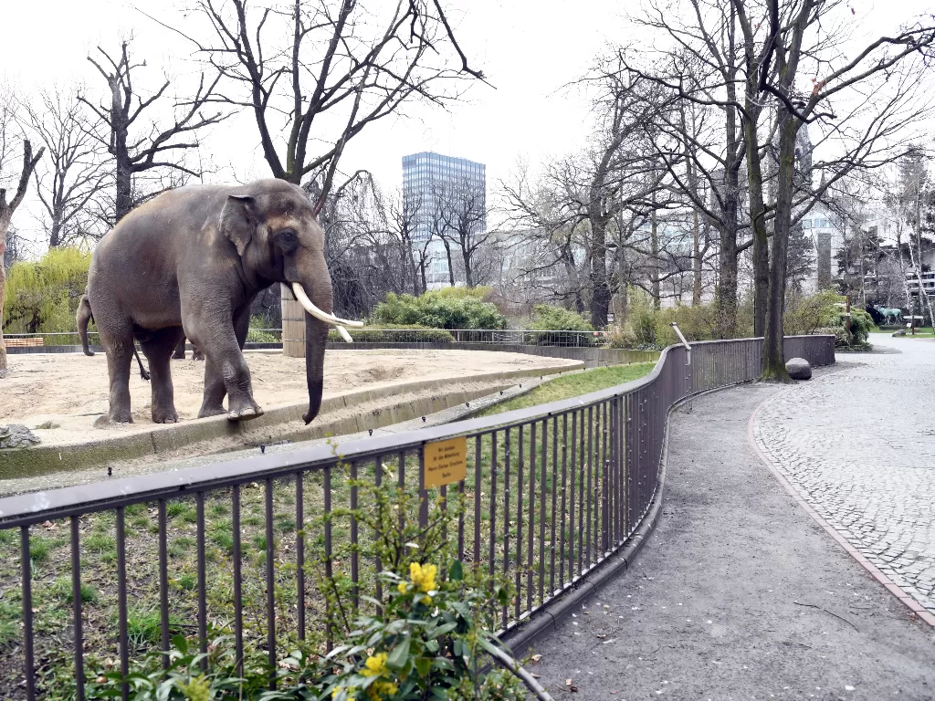 Salah satu kebun binatang yang ada di Berlin, Jerman. (REUTERS)
