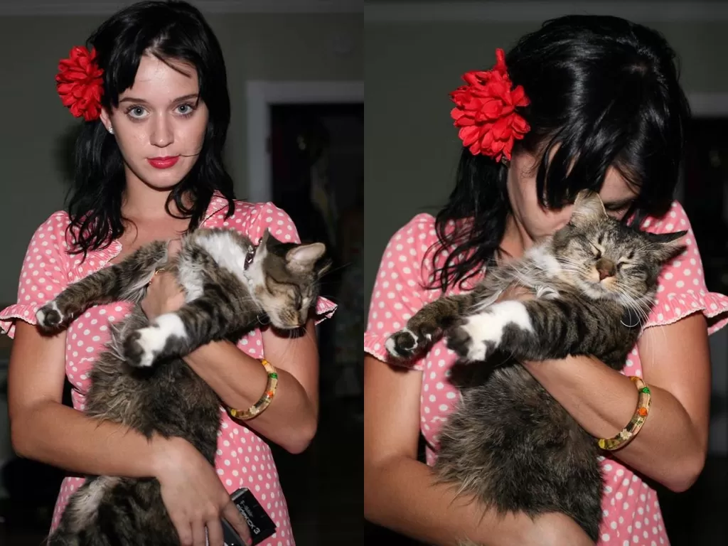 Katy Perry dengan kucing kesayangannya, Kitty Purry. (Instagram/@katyperry)