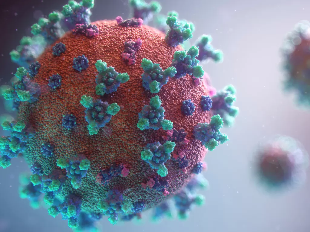 Ilustrasi virus corona (Ilustrasi/Unsplash/Fusion Medical Animation)