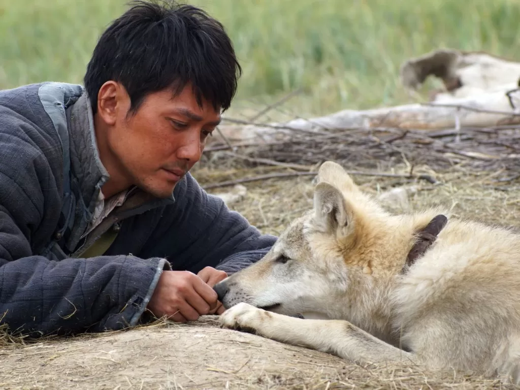 Wolf Totem - 2015. (Sony Pictures Entertainment)