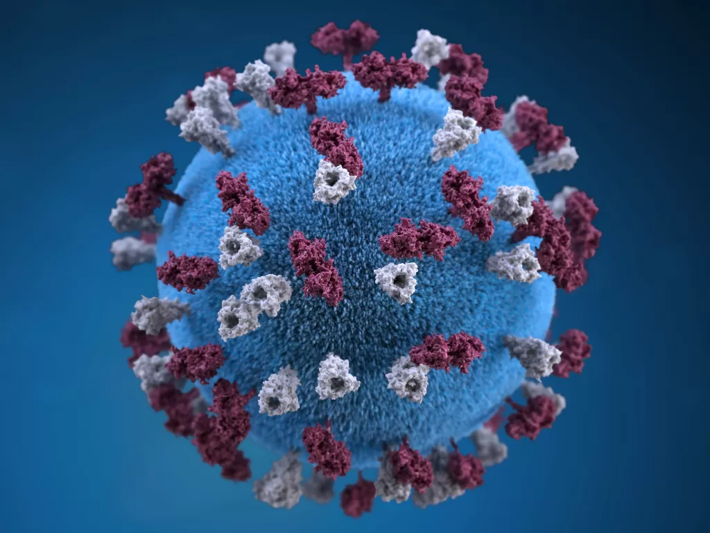 Ilustrasi virus corona (Unsplash/CDC)