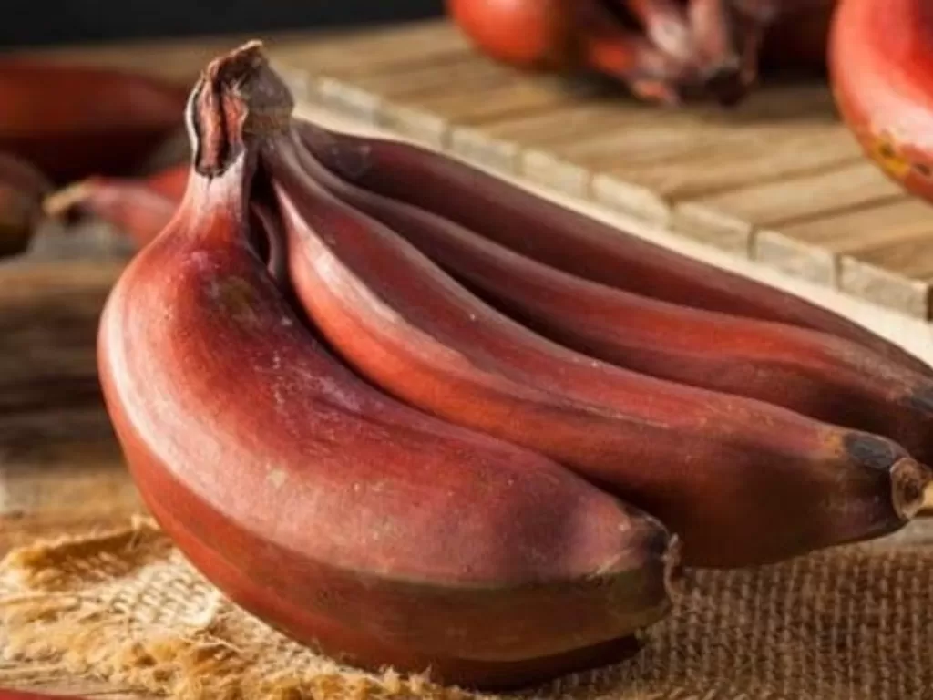 Ilustrasi pisang merah. (Food.ndtv)