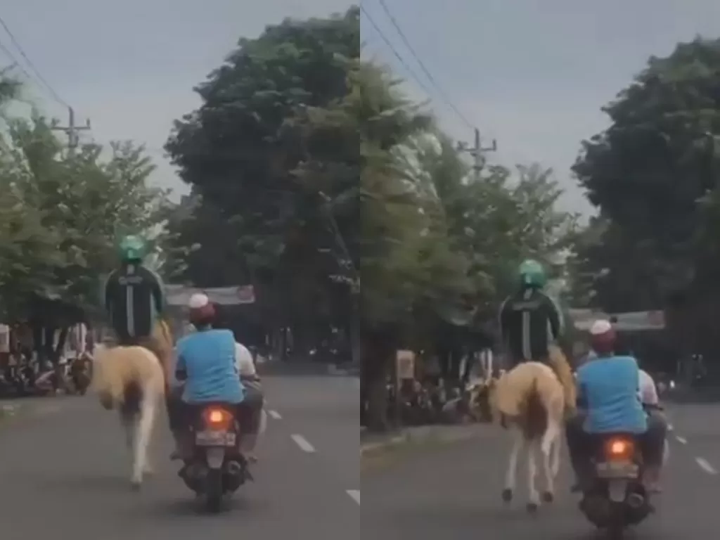 Seorang pria beratribut ojol tunggangi kuda. (Twitter/@PenjahatGunung)