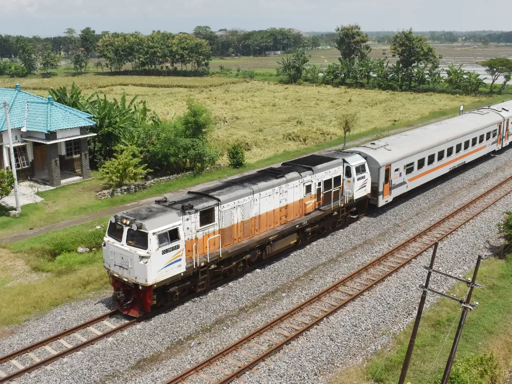 Ilustrasi perjalanan kereta api jarak jauh (ANTARA/Siswowidodo)
