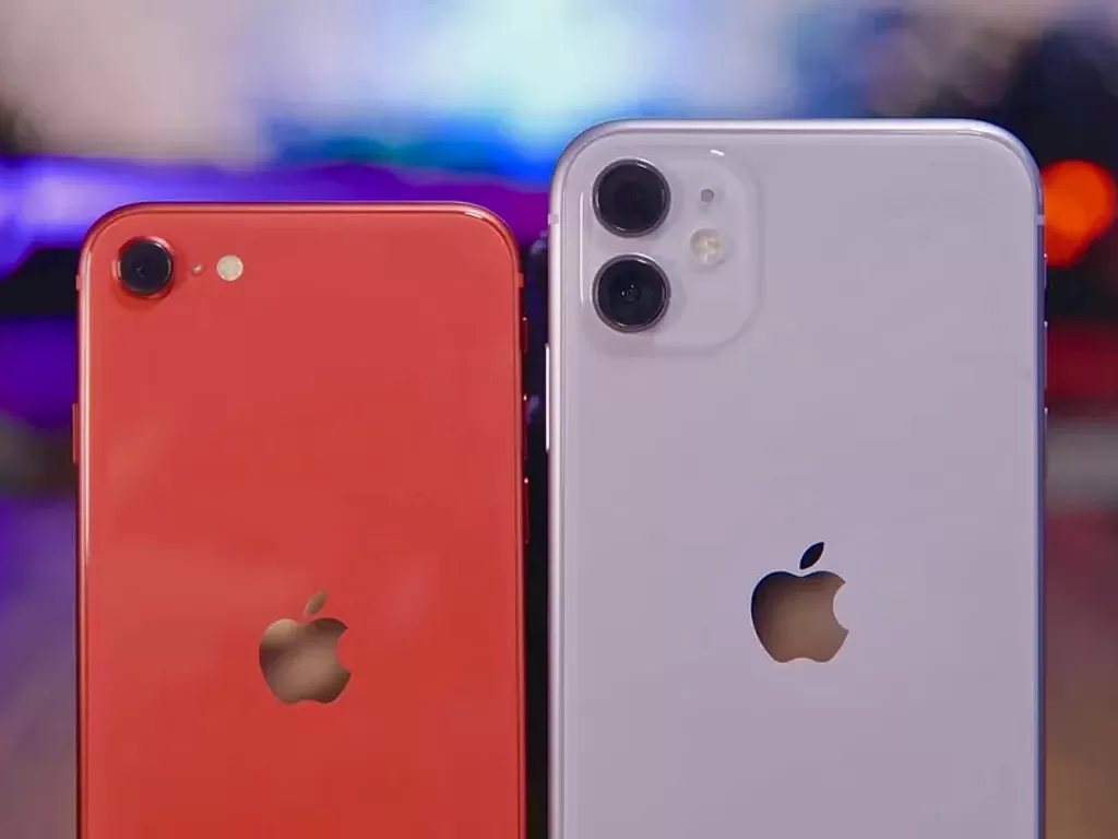 iPhone SE 2020 dan iPhone 11 (photo/CNET/John Kim)