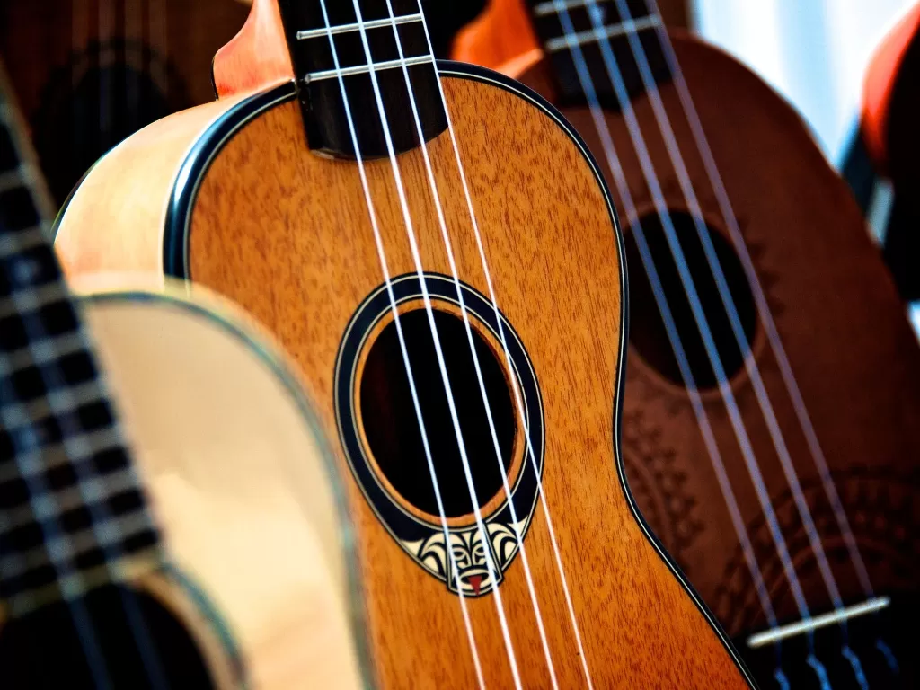 Ilustrasi alat musik gitar (Pixabay)