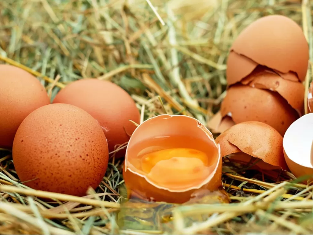 Ilustrasi telur dengan cangkang berbintik cokelat. (Pixabay/Couleur)
