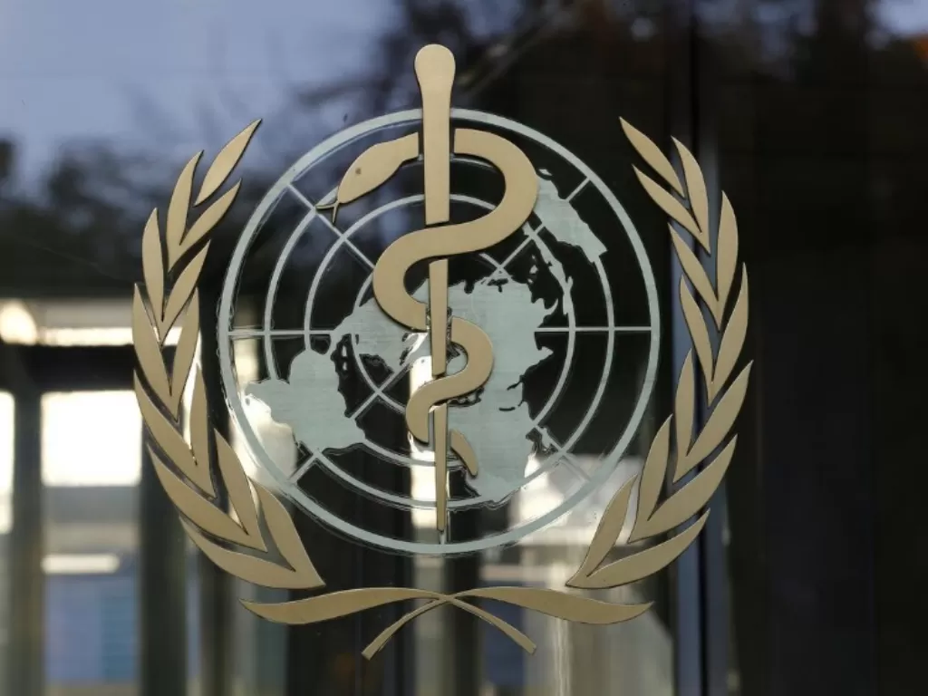 Logo World Health Organization (WHO). 9REUTERS/File Photo)