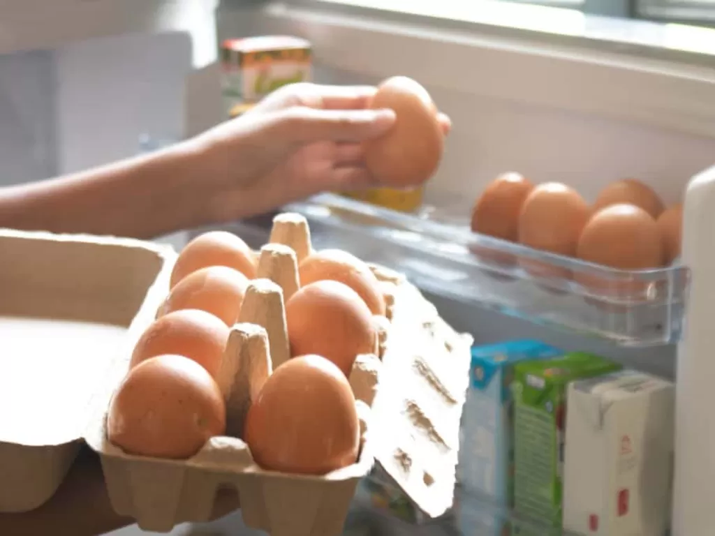 Ilustrasi telur di dalam kulkas. (dailypost)