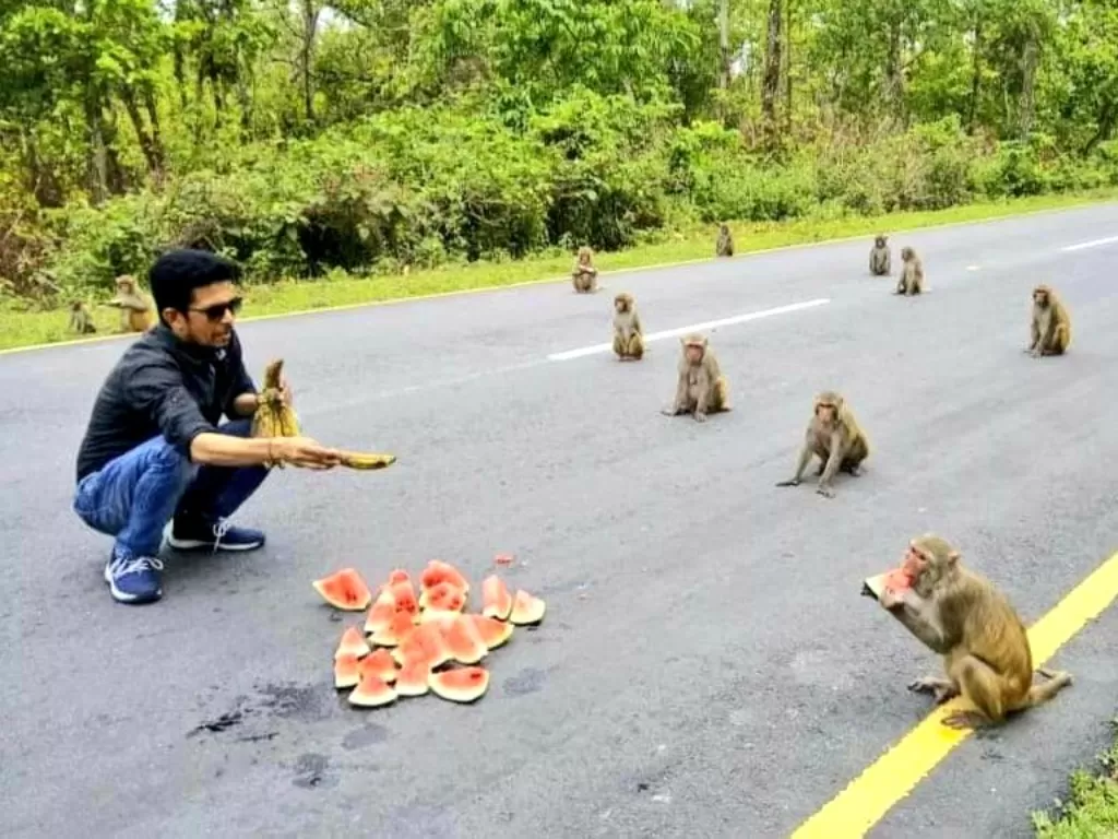 Sekumpulan monyet pintar yang lakukan sosial distancing. (Twitter/KirenRijiju)