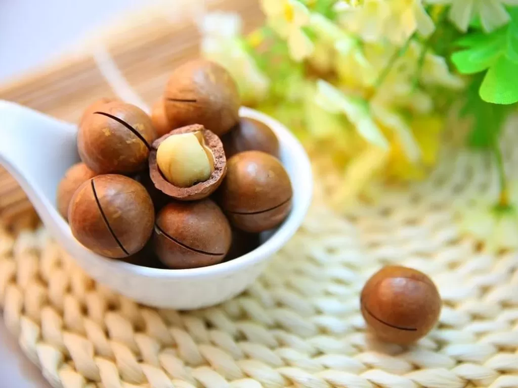 Kacang Macadamia. (Pixabay/sunnysun0804)