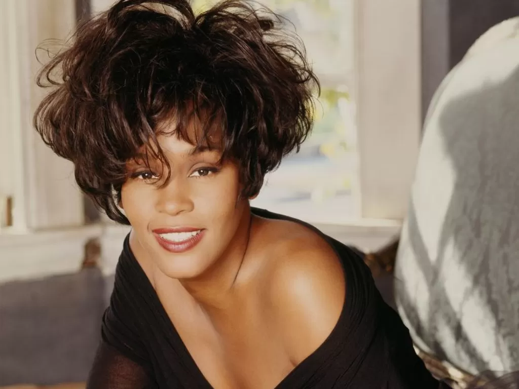 Whitney Houston (basehologram.com)