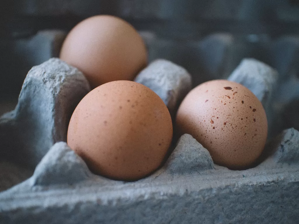 Telur, makanan penuh gizi (Pexels/Monserrat Soldú)