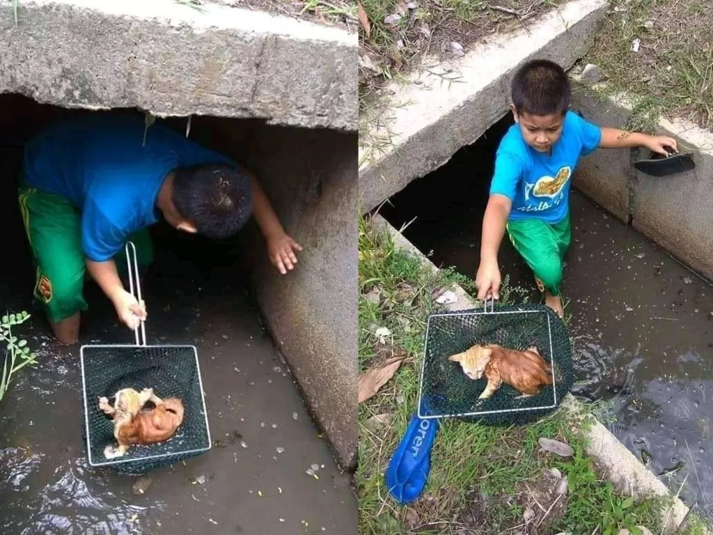 Seorang bocah berhasil menyelamatkan kucing di dalam selokan. (photo/Twitter/@papahzeze)
