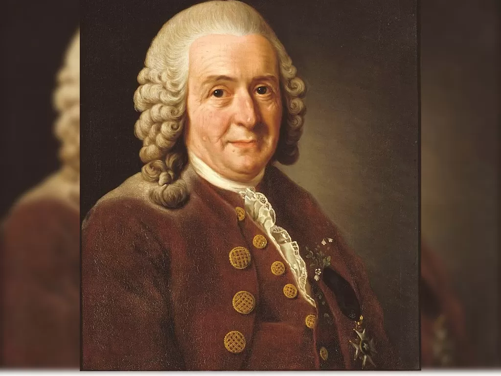 Potret Carolus Linnaeus. (wikipedia.org/nationalmuseum.se)