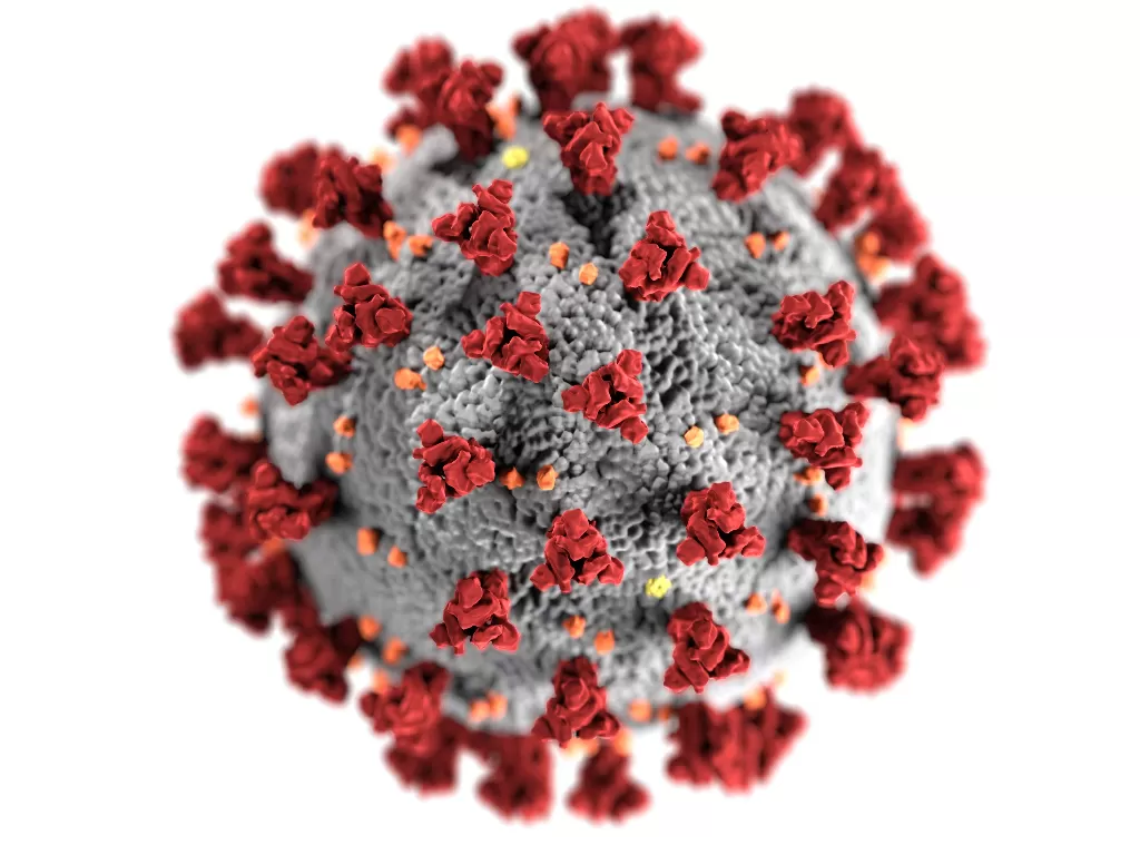 Ilustrasi virus corona (Pexels/CDC)