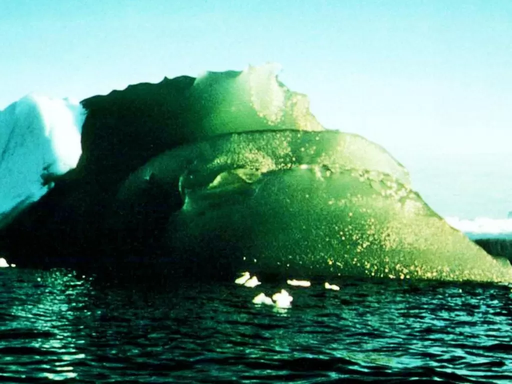 Gunung es berwarna hijau di Antartika. (AGU/Journal of Geophysical Research: Oceans/Kipfstuhl et al 1992)