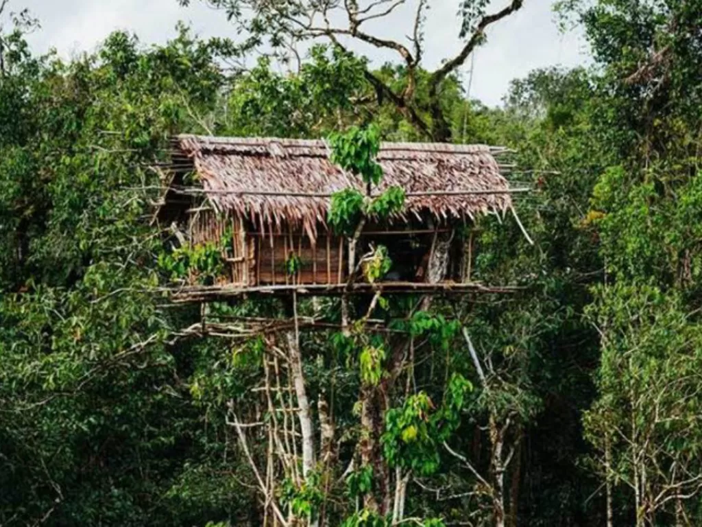 Rumah suku Karowai. (authentic-indonesia.com)
