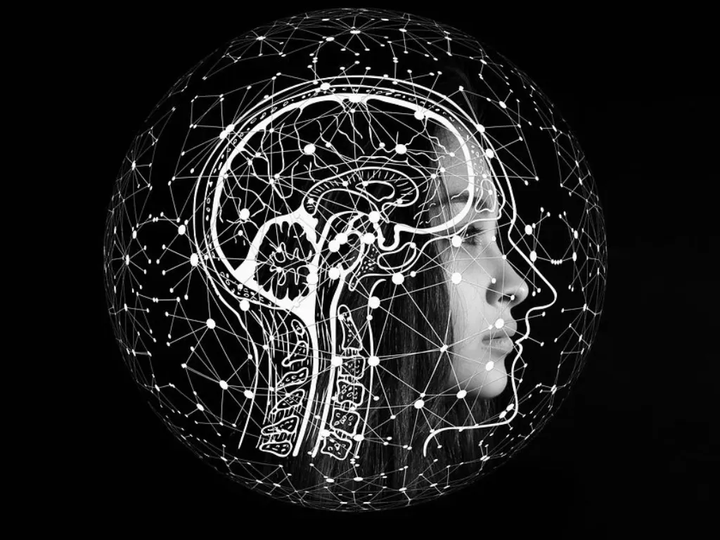 Ilustrasi otak manusia. (Pixabay/Geralt)