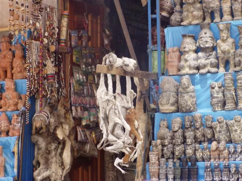 Mercado  de las Brujas, pasar yang jual barang unik dan menyeramkan Bolivia.(Pinterest/catherine Tramell)