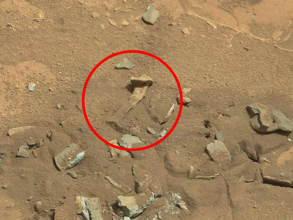 Bebatuan Mars yang mirip seperti tulang paha (photo/Dok. NASA)