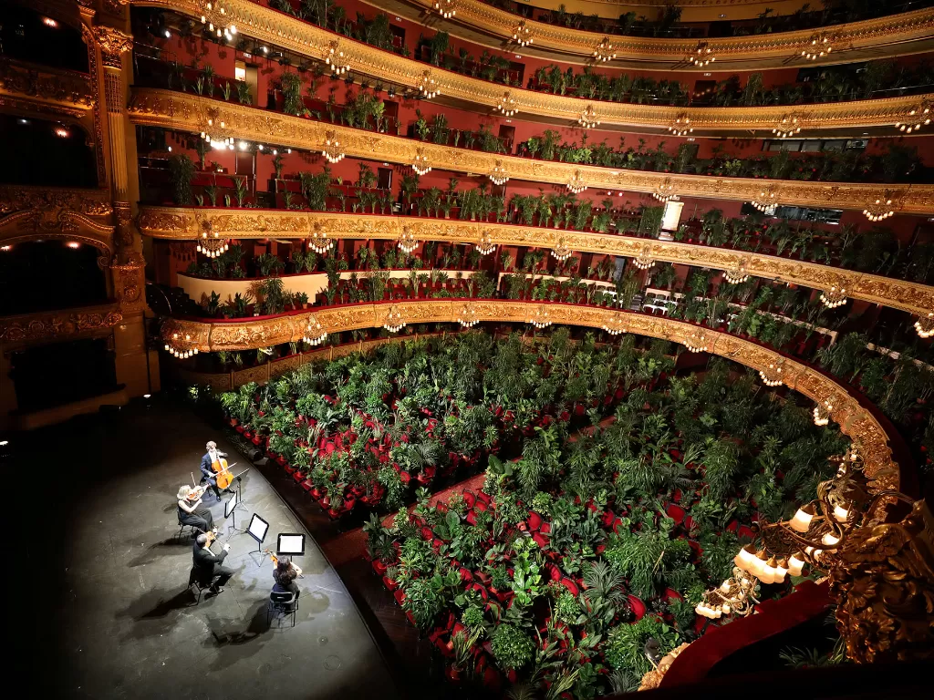 Bibit-bibit tanaman ditempatkan di kursi-kursi penonton saat Opera Gran Teatre del Liceu Barcelona melakukan geladi bersih sebuah konser di Barcelona, Spanyol, Senin (22/6/2020). (REUTERS/Nacho Doce)
