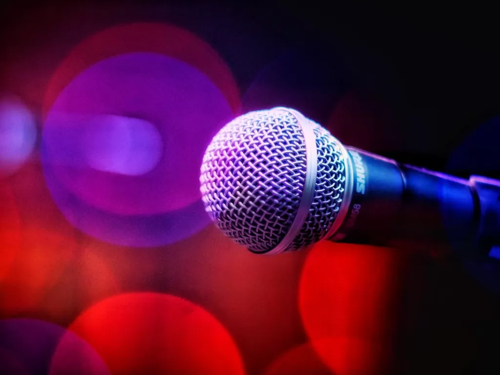 Ilustrasi karaoke. (Pixabay/Simoneph)