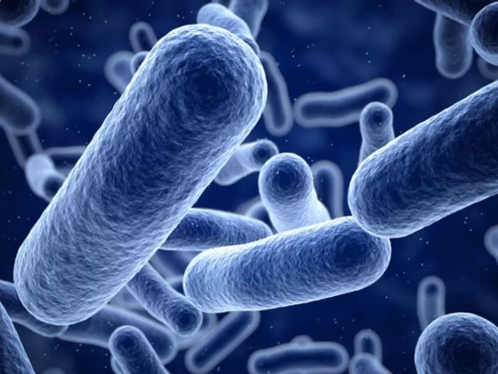 Ilustrasi Bakteri Listeria (parent24.com)