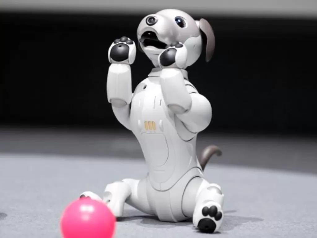 Robot anjing. (REUTERS/Kim Kyung-hoon)