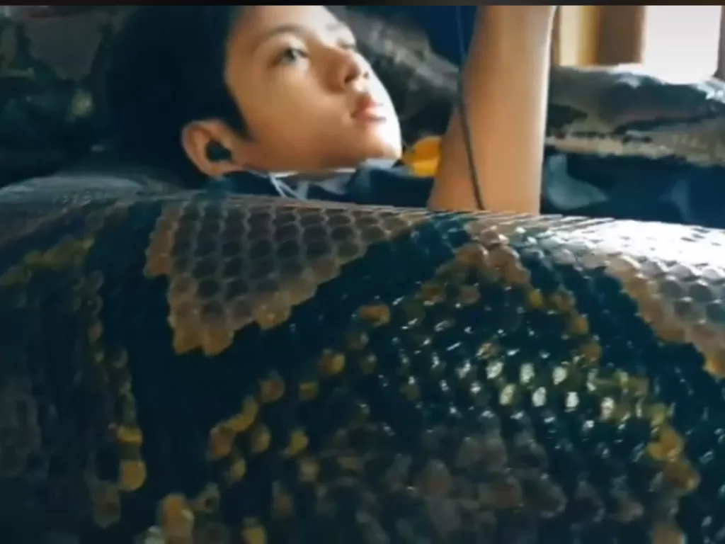 Viral seorang bocah memiliki peliharaan ular yang sangat besar (Tiktok)