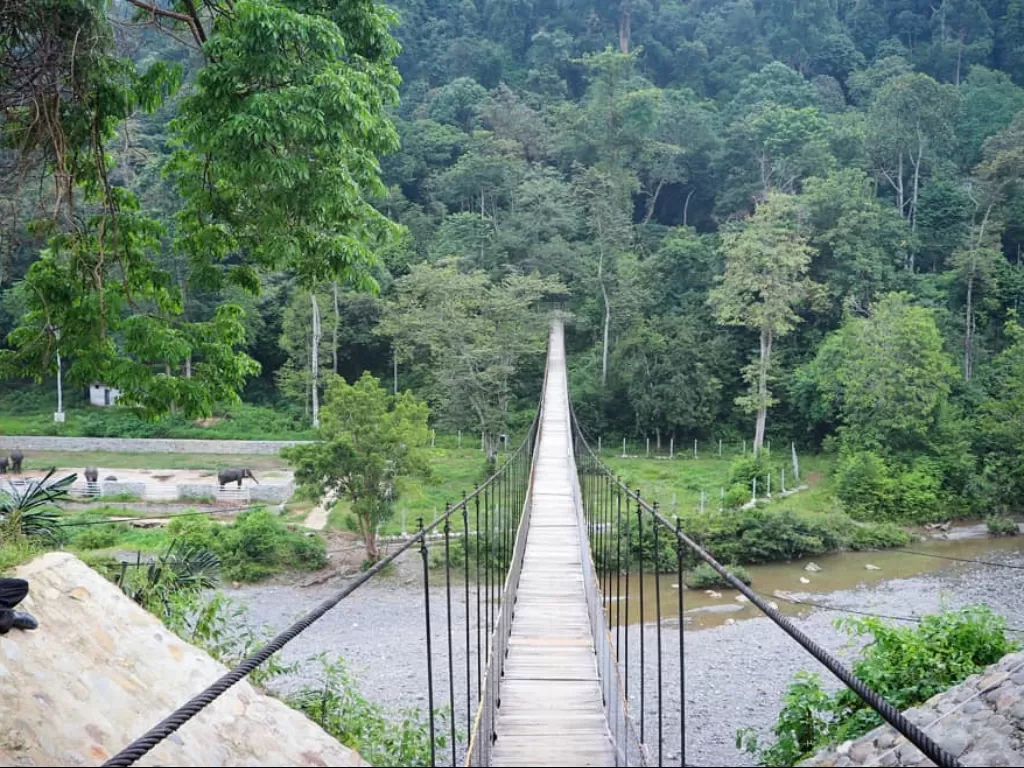 Ekowisata Tangkahan, Taman Nasional Gunung Leuser, Langkat. (Instagram/disparbudlangkat)