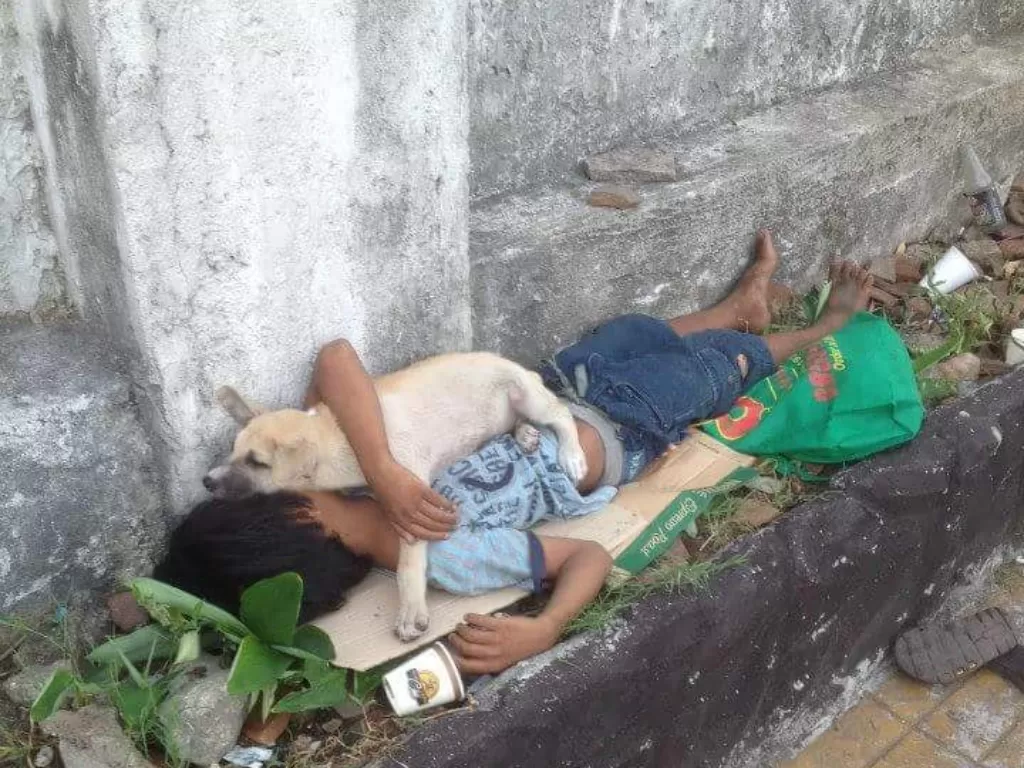 Kisah anjing setia temani pemiliknya tidur di pinggir jalan. (Facebook/Menhart Paluala)
