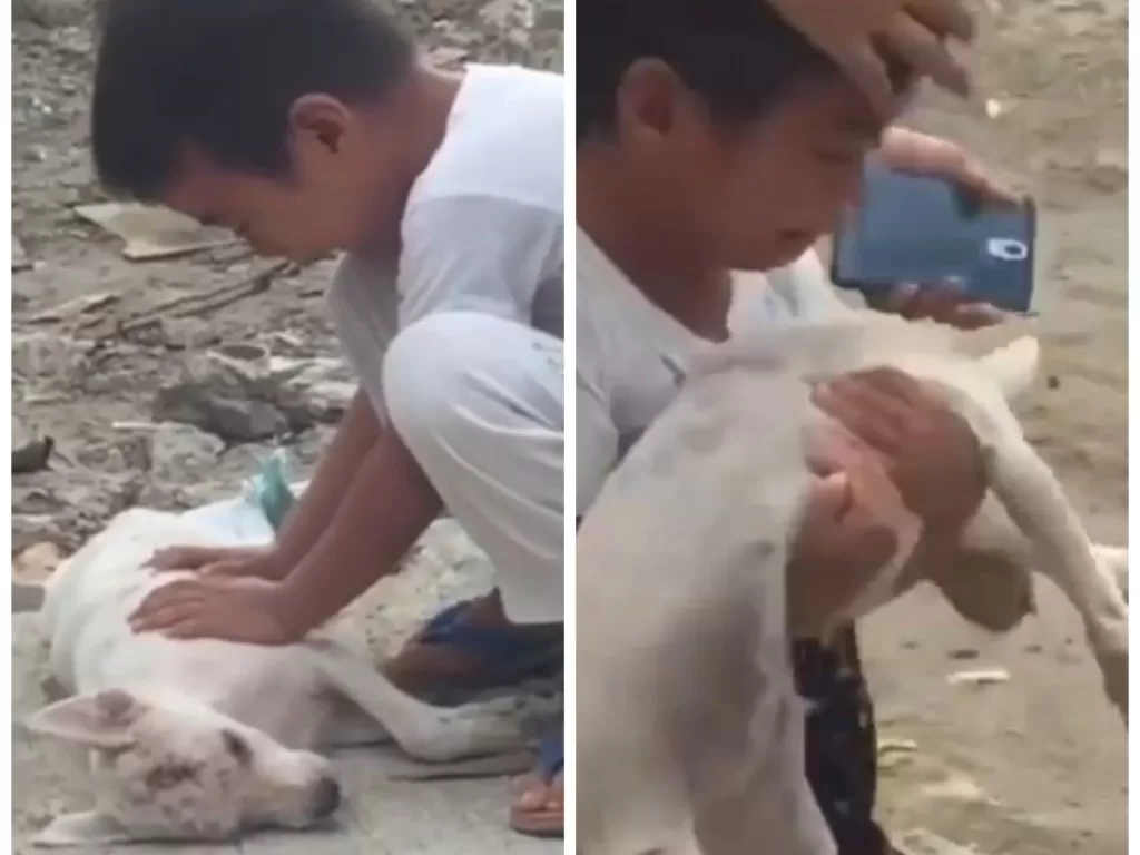 Anak menangis tersedu melihat anjing kesayangannya mati diduga dibunuh orang (Instagram/@ratu_nyinyir_officiall)