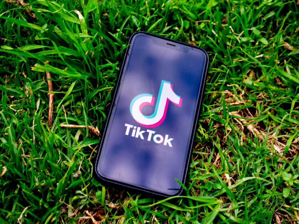 Ilustrasi logo Tik Tok (photo/Pixabay/@konkarampelas)