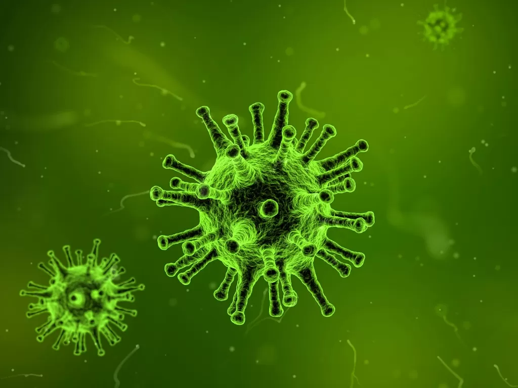 Ilustrasi virus pes. (photo/Ilustrasi/Pixabay)