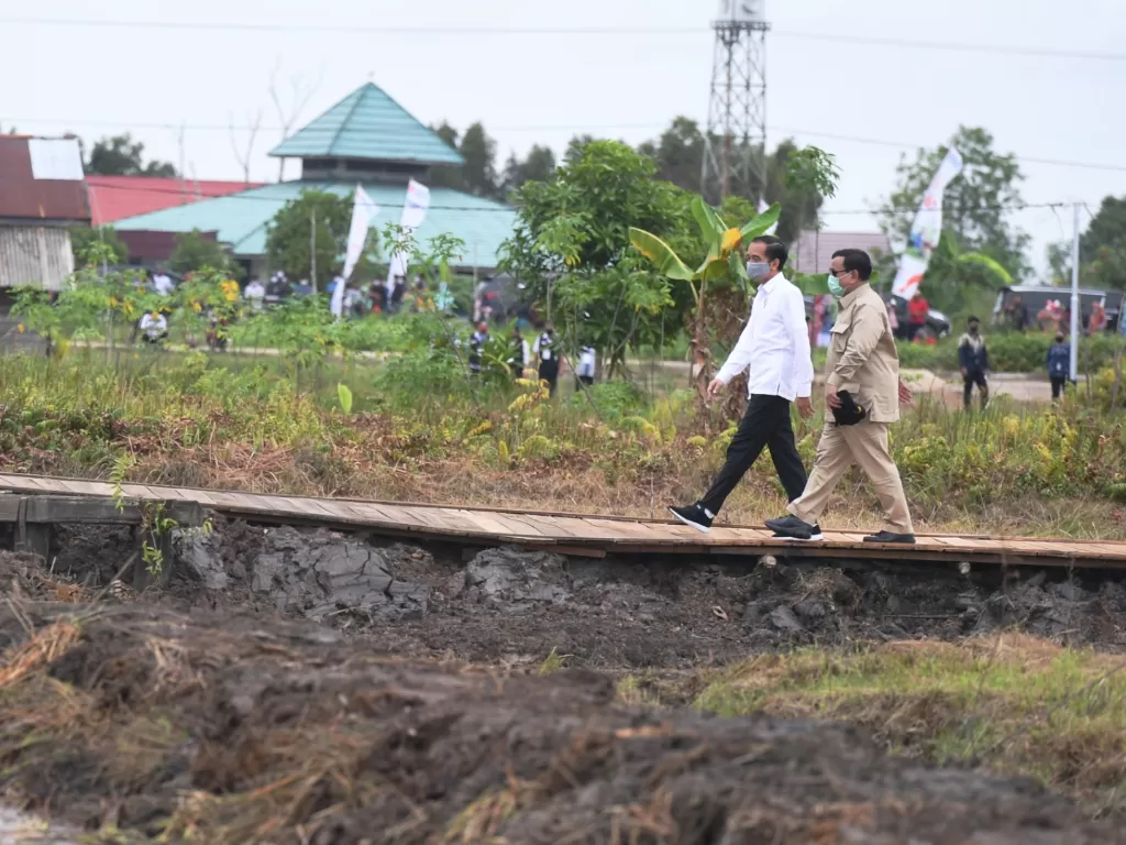 Presiden Joko Widodo (kiri) didampingi Menteri Pertahanan Prabowo Subianto meninjau lahan yang akan dijadikan Food Estate atau lumbung pangan baru di Kapuas, Kalimantan Tengah, Kamis (9/7/2020). (ANTARA FOTO/Hafidz Mubarak A)