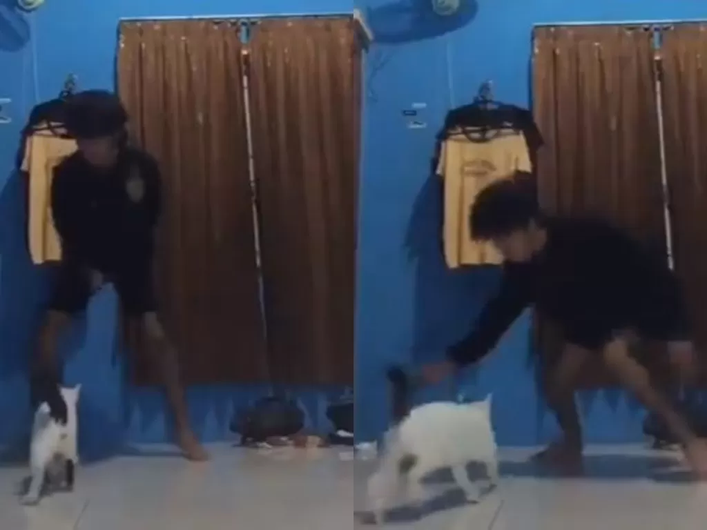 Seorang pria gagal joget TikTok karena Diganggu kucing. (Screenshot)