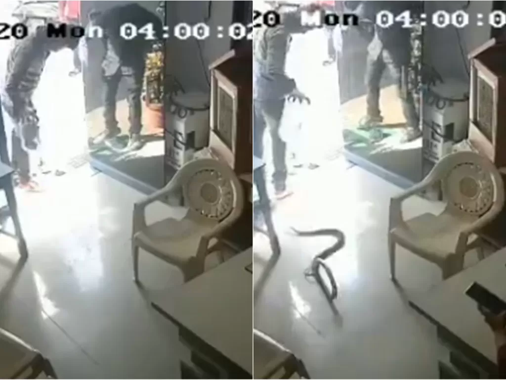 Potret pria yang melepaskan ular kobra ke dalam kantor SPBU karena permintaanya untuk isi bensin di botol di tolak petugas. (Twitter/@sunilcredible)