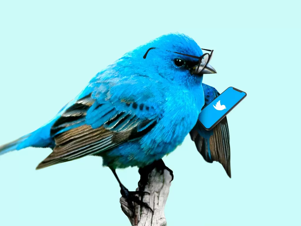 Ilustrasi seekor burung sedang bermain Twitter (photo/Unsplash/Morning Brew)