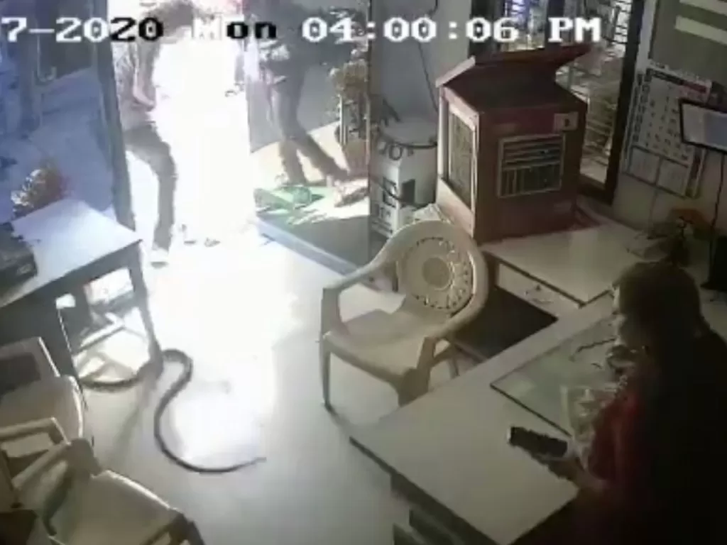 Tampilan salah seorang pria yang melepaskan ular kobra di salah satu kantor SPBU. (SS/Twitter/@sunilcredible)