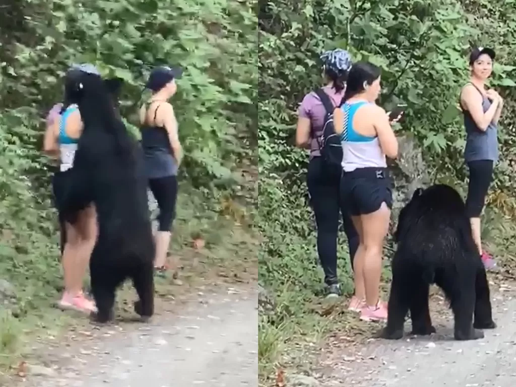 Tiga wanita diserang beruang hitam. (Photo/Facebook/El Mañana de Reynosa)