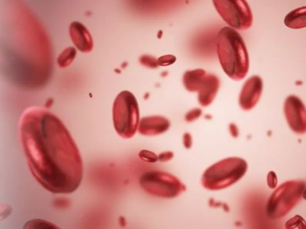 Ilustrasi anemia (photo/elcaminohealth)