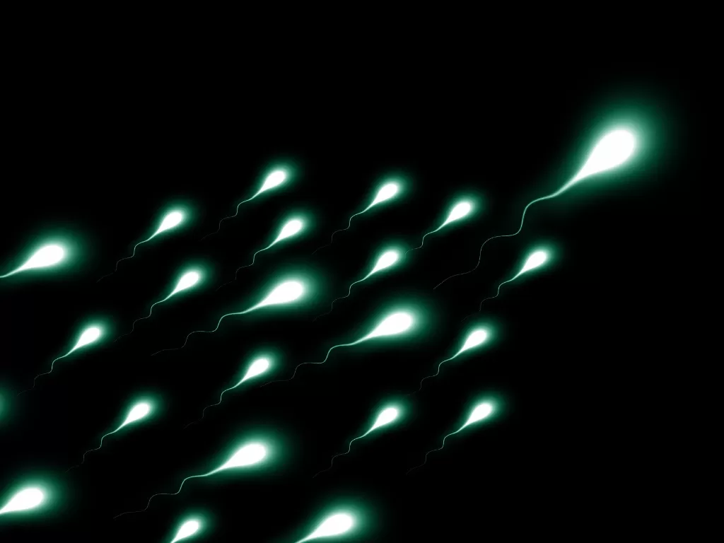 Ilustrasi sperma (Pixabay/Gerd Altmann)